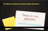 Profesora: María Antonia Rojas Serranomariarojas.iescla.org/.../2020/09/TEMA-2-GLUCIDOS.pdf · 2020. 9. 23. · Podemos clasificar los glúcidos en: OSAS o MONOSACÁRIDOS: son cadenas
