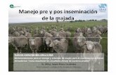 Manejo pre y pos inseminación de la majada - CRILU · 2020. 4. 26. · Nutrición • La nutrición afecta la preñez y cantidad de corderos de la majada. • Por cada kg PV extra