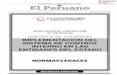 IMPLEMENTACIÓN DEL SISTEMA DE CONTROL INTERNO EN LAS … · 2019. 7. 25. · El Peruano / Viernes 17 de mayo de 2019 NORMAS LEGALES 5 3. ALCANCE 3.1 Las disposiciones contenidas