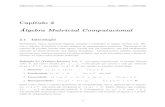 Cap´ıtulo 2 Algebra Matricial Computacionalpulino/MDF_AsTeCA/Textos2008/cap02.pdf · °c Petronio Pulino, 2008 DMA – IMECC – UNICAMP Cap´ıtulo 2 Algebra Matricial Computacional´