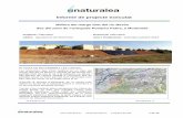 Informe de projecte executat - Naturalea · Millora del marge dret del riu Besòs des de l’avinguda Pompeu Fabra, a Montmeló 5 de 15 Objectius Objectius generals - Obrir el riu