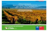 PROGRAMA NACIONAL INTEGRADO DE PLAGUICIDAS DE USO … · 2 Páginas Presentación Capítulo 1 Programa Nacional Integrado de Plaguicidas de uso Agrícola Introducción - Resumen Ejecutivo