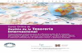 Gestión de la Tesorería Internacional · Gestión de la Tesorería Internacional MÓDULO 1. Introducción a la gestión de la tesorería internacional Las empresas están cada vez