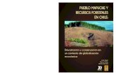 PPUEBLO MAPUCHE Y UEBLO MAPUCHE Y RRECURSOS ... · Pueblo Mapuche y recursos forestales en Chile: 7 Los bosques de Chile cubren una superﬁ cie de 15.637.233 hectáreas, lo que representa
