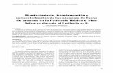 Abastecimiento, transformación y comercialización de las ... · 23 ANTIQVITAS - 2018 - N.º 30 (pp. 23-31) ISSN: 1133-6609 - M.H.M. Priego de CórdobaAbastecimiento, transformación