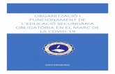 ORGANITZACIÓ I FUNCIONAMENT DE · centre d’estudis roa organitzaciÓ i funcionament de l’educaciÓ secundÀria obligatÒria en el marc de la covid-19