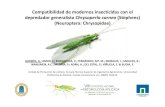 Compatibilidad de modernos insecticidas con el depredador ...oa.upm.es/33490/1/INVE_MEM_2013_145097.pdf · Compatibilidad de modernos insecticidas con el ... (3 parejas/repetición)