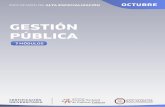 BROCHURE ENAPP - OCT - GESTIÓN PÚBLICA · 2020. 2. 24. · CEPAL CHILE Tiene experiencia en gestión pública y privada, abarcando los campos de descentralización, planeamiento