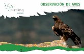 OBSERVACIÓN DE AVES - turismoa.euskadi.eus€¦ · Internacional. La principal zona de interés para la observación de aves es el Parque Ornitológico de Mendixur. • El Parque