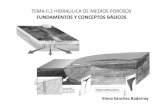 FUNDAMENTOS Y CONCEPTOS BÁSICOSugr.es/~elenasb/teaching/Bloque2_Tema_2... · de flujo en medios porosos estacionarios y transitorios y para geometrías arbitrarias Caracterización