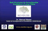 Red Mexicana de Investigación Ecológica a Largo Plazomapimi-uved.univ-tlse2.fr/03/docs/01/11_presentation_red...Grupos de la Red Mex-LTER Nombre del Grupo # Inv. PP Biog. DivB Pert