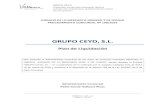GRUPO CEYD, S.L. - Vallaurevallaure.es/wp-content/uploads/2018/09/PLAN-DE... · PROCEDIMIENTO CONCURSAL Nº 198/2016 GRUPO CEYD, S.L. Plan de Liquidación Que presenta la Administración