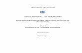 PROVINCIA DEL CHACO CONSEJO FEDERAL DE INVERSIONES ...biblioteca.cfi.org.ar/wp-content/uploads/sites/2/2014/01/50038.pdf · documentación técnica, imágenes satelitales, fotografías