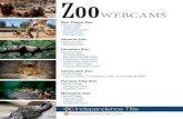 WEBCAMS - Independence Title- Leafcutter Ant Cam - Rhino Yard Cam - Chimp Window Cam Cincinnati Zoo Home Page - Home Safari Facebook Lives, Everyday at 3pm Kansas City Zoo Home Page