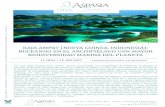 RAJA AMPAT (NUEVA GUINEA, INDONESIA): BUCEANDO EN EL ...€¦ · Raja Ampat es uno de los ecosistemas submarinos más diversos del planeta, un santuario único en el mundo en cuanto