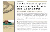 VETERINARIA INFECCIÓN CORONAVIRUS MARZO-ABRIL 2020 · virulentas produciendo una infección llamada por co-ronavirus pantrópico y producir cuadros graves simi-lares a los del parvovirus.