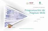 Programa de Asignatura Programación de Páginas Web · 2019. 6. 21. · Progr a Progr W 7 • Área de Formación Laboral: tiene la intención de desarrollar en los estudiantes competencias