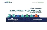 INFORME DE AUDIENCIA PÚBLICA DE RENDICIÓN DE CUENTAS … · INFORME DE AUDIENCIA PÚBLICA DE RENDICIÓN DE CUENTAS VIGENCIA – 2016-2019 CONSEJO DIRECTIVO IVÁN DUQUE MÁRQUEZ