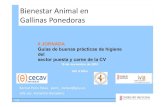 Bienestar Animal en Gallinas Ponedoras€¦ · protección de las gallinas ponedoras (Directiva 99/74/CE) NO ES DE APLICACIÓN: