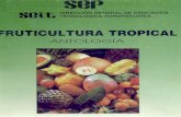 FRUTALES | Una aproximación a la Fruticultura Atlántica · direcciÓn general de educaciÓn tecnolÓgica agropecuaria fruticultura tropical . created date: fri dec 31 21:09:45 2004