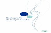 Radiografía de la Pyme 2011img.blogs.es/sage/wp-content/uploads/2011/03... · Gestión y estrategia global La pyme ante la crisis Inversiones, subvenciones y financiación en 2010