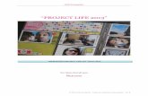 “PROJECT LIFE 2013”rate-kits-de-somni... · El Project Life Kit de junio es precioso, con colores intensos: verdes, amarillos, azules, rosas y negros. Muchas combinaciones para
