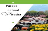 Parque natural V itosha · del Ministerio de marzo de 2004 el área del parque fue cambiada hasta las ctuales 27 079, 114 hectáreas. En julio del 2000, por Orden del Ministerio de