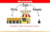 GUIÓN PARA LA ELABORACIÓN DE LOS ESTUDIOS DE CADENAS ... · Microeconomía // Pablo Luis Saravia Tasayco // e-mail: competitividadyeconomia@gmail.com // blog:  //  ...