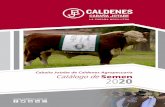 Cabaña Jotabe de Caldenes Agropecuaria Catálogo de 20 · 2020. 5. 22. · de razas Hereford y Braford, y actualmente con más de 10.000 madres en producción integrada, PP, PR,