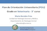 POU. Plan de Orientación Universitaria · Objetivos del Plan de Orientación Universitaria de la Universidad de Zaragoza (POUZ) 1. Integrar a todos los estudiantes de grado en el