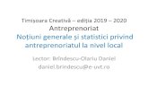 Timișoara reativă –ediția 2019 – 2020 Antreprenoriat · Antreprenoriat Noțiuni generale și statistici privind antreprenoriatul la nivel local Lector: Brîndescu-Olariu Daniel
