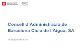 Consell d’Administració de Barcelona Cicle de l’Aigua, SA Consell Administracio_Juliol 2018.pdf · 9 PLUVIOMETRIA BARCELONA La pluja acumulada fins el 11 de juliol: 389 mm. La
