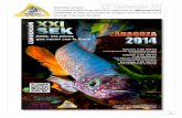 Queridos amigos - blog.pysgod.comblog.pysgod.com/wp-content/uploads/XXI-CONVENCION-SEK-2014.pdf · - 16:00 Juzgado de los peces expuestos. - 17:00 Conferencia “Los killis del ongo-