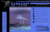 UNOPn_u… · Amenazas y conservación del hábitat de gorrión Jaeno (Incaspiza watkinsi) en Cajamarca y Amazonas-Perú. Antonio García Bravo Casos de leucismo en el Gallinazo de