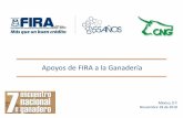 Apoyos de FIRA a la Ganadería - CNOG · Ganadería Tropical en el Sureste de México con Tecnologías Generadas por el ICA de Cuba.-50 -50 100 150 200 -5 10 15 20 25 30 35 ... Modelo
