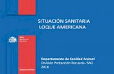 SITUACIÓN SANITARIA LOQUE AMERICANA...• Programa Nacional de Control: 2007 hasta la fecha. • Zonificación: Región de Aysén (2006-2013). • Estatus sanitario: Endémica, baja