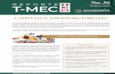No. 36 REPORTE T-MEC - gob.mx · REPORTE No. 36 10 Marzo 2020 CAPÍTULO 12 ANEXOS SECTORIALES ... combinación de aquellas sustancias que se produzcan en todo o en parte como resultado
