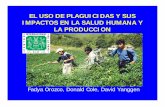 LA PRODUCCION IMPACTOS EN LA SALUD HUMANA Y EL …...plaguicidas tiene en la producción agrícola, la salud humana y el medio ambiente en Carchi, Ecuador. Fortaleciendo los vínculos