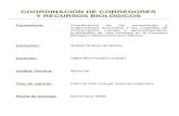 COORDINACIÓN DE CORREDORES Y RECURSOS BIOLÓGICOS · Consultor: Rafael Robles de Benito Contrato: CBM-M/UTN/2B/012/2007 Unidad Técnica: Nacional Tipo de reporte: Informe final incluye