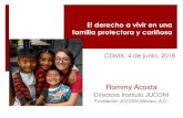 El derecho a vivir en una familia protectora y cariñosasipinna.cdmx.gob.mx/sipinna/_pdf/_biblioteca/seminario_proteccion_… · familia protectora y cariñosa CDMX, 4 de junio, 2018