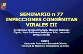 SEMINARIO n 77 INFECCIONES CONGÉNITAS VIRALES III · 2017. 9. 22. · SEMINARIO n 77 INFECCIONES CONGÉNITAS VIRALES III Drs Ximena Cáceres Chamizo, Daniela Cisternas Olguín, Juan