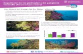 Seguiment de les poblacions de gorgònia vermella ...seguimentmari.cat/resultats-seguiment-2017.pdf · (Twitter, Instagram: @seguimentmari) Seguiment del medi marí al Parc Natural