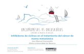 Presentación de PowerPoint · 2017. 7. 17. · Dr. Fernando Rivera Hospital Universitario Marqués de Valdecilla, Santander Organizado por: Fundación para el progreso de la oncología