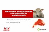 Retos de la Nutrición frente a la reducción de antibioterapiajornadastopgan.com/wp-content/uploads/2018/11/M3-Sepor...J. Riera :Jefe Producto de Vacuno de Carne Lorca: Noviembre