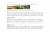 Concepto | Estudios - Dialnet · 2019. 12. 13. · Concepto | Estudios Patrimonio Agrario en la Vega de Granada: los regadíos del río Dílar Agrarian Heritage in Vega de Granada: