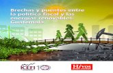 Brechas y puentes entre la política fiscal y las energías ...icefi.org/sites/default/files/energias_renovables_-_guatemala.pdfsistemas energéticos y, por consiguiente, en la lucha