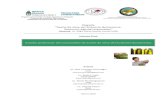 Proyecto “Aceite de oliva del Sudoeste Bonaerense ... · cuestión sea o no el principal aceite comestible que se use en el hogar del encuestado, con pautas de consumo y características
