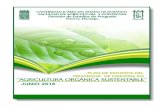 Plan de Estudios del Programa de Maestría en “Agricultura ...faz.ujed.mx/Posgrado/maos/plan_de_estudios_maos_2016.pdf · Plan de Estudios del Programa de Maestría en “Agricultura