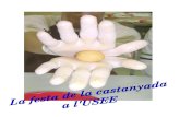 USEE castanyada - iesdimreus.cat castanyada.pdf · Title USEE castanyada Author: PAQUI Created Date: 11/18/2008 12:00:00 AM