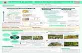 RESPUESTA AL ESTRÉS HÍDRICO EN PLANTAS ... CARRASCO SANCHEZ (1...La resistencia de las plantas mediterráneas al estrés hídrico se debe, a la cooperación de varios mecanismos